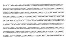 Figure 109103078-A0101-12-0104-49