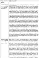 Figure BDA0003154168970000231