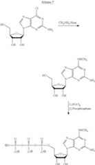 Figure US09271996-20160301-C00126