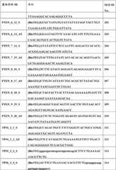 Figure BDA0000059233380000681