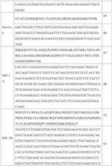 Figure GDA0002731146240002271