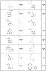 Figure 112016064103746-pct00249