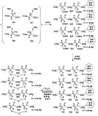 Figure BPA00001373600300581