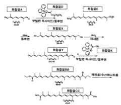 Figure 112007066804814-pct00050