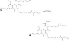 Figure US07528104-20090505-C00163