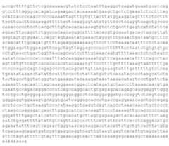 Figure 2023500889000005