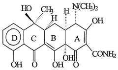 Figure imgf000005_0001