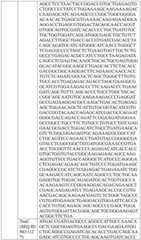 Figure BDA0004033970230005721