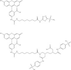 Figure US11779602-20231010-C00053