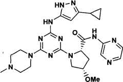 Figure GPA00001066806500511