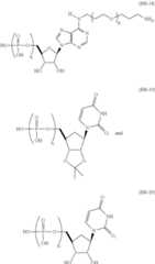 Figure US09271996-20160301-C00036