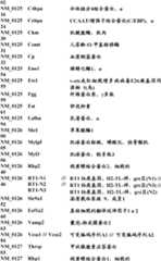 Figure BDA0000057170160001401