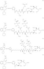 Figure US10080805-20180925-C00088