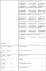 Figure BDA0002591526010000231