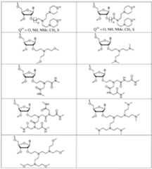 Figure imgf000037_0001