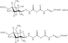 Figure US08840879-20140923-C00099