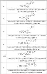 Figure BDA0001980795000000161