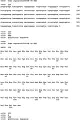 Figure imgb0092