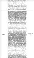 Figure imgf000096_0001