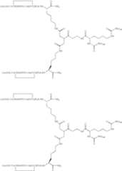 Figure US07906485-20110315-C00055