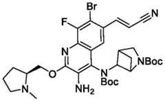 Figure BDA0003993773060002511