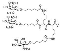 Figure 2023113843000458