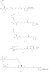 Figure US09181549-20151110-C00725