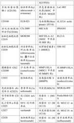 Figure BDA0002951888040000331