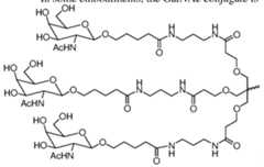 Figure imgf000107_0001