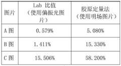 Figure GDA0002483137840000101
