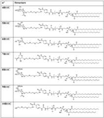 Figure imgf000055_0001