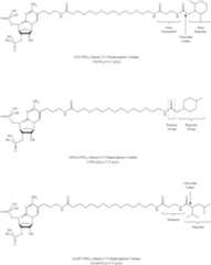 Figure US09206216-20151208-C00042