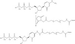 Figure US07695929-20100413-C00262