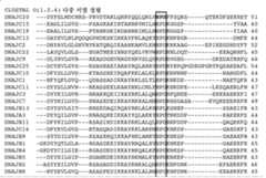 Figure P1020227041465