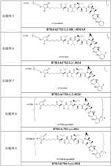 Figure GPA0000266575640000101