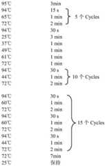 Figure BDA0002376975380000062