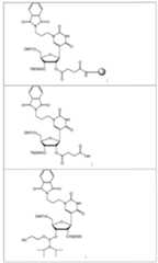 Figure imgf000051_0001