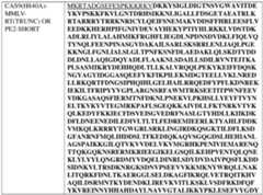 Figure imgf000249_0002