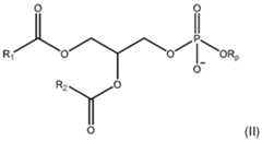 Figure imgf000004_0001