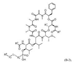 Figure imgf000081_0001