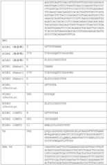 Figure BDA0002591526010000371