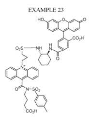 Figure imgf000077_0002