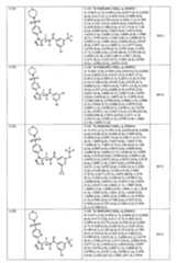 Figure 109139846-A0202-12-0251-119