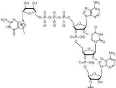 Figure imgf000174_0001