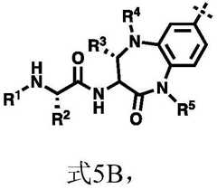 Figure FDA0002964098090000432