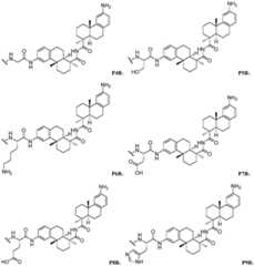 Figure FDA0002889616210000203