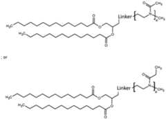 Figure imgf000042_0001