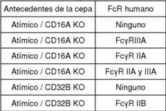 Figure imgf000094_0001