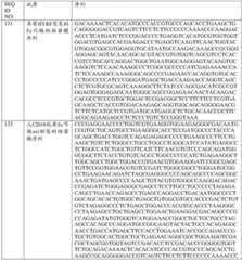 Figure BDA0001868160740001301