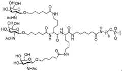 Figure imgf000084_0003